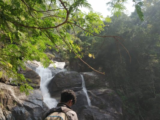 Понмуди - водопады и дикая природа